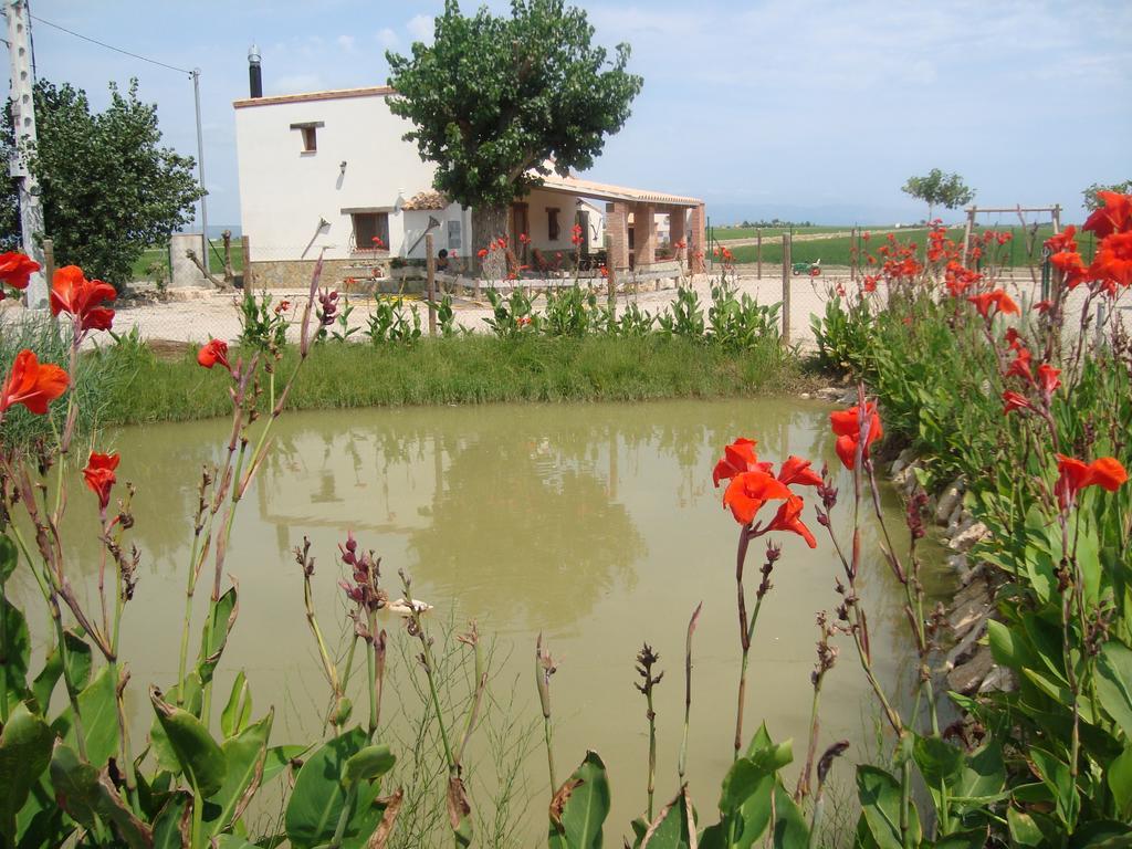 Caseta Les Creus Riumar Extérieur photo